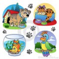 /album/animales/a12899348256cj78w-jpg/